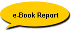 e-Book Report